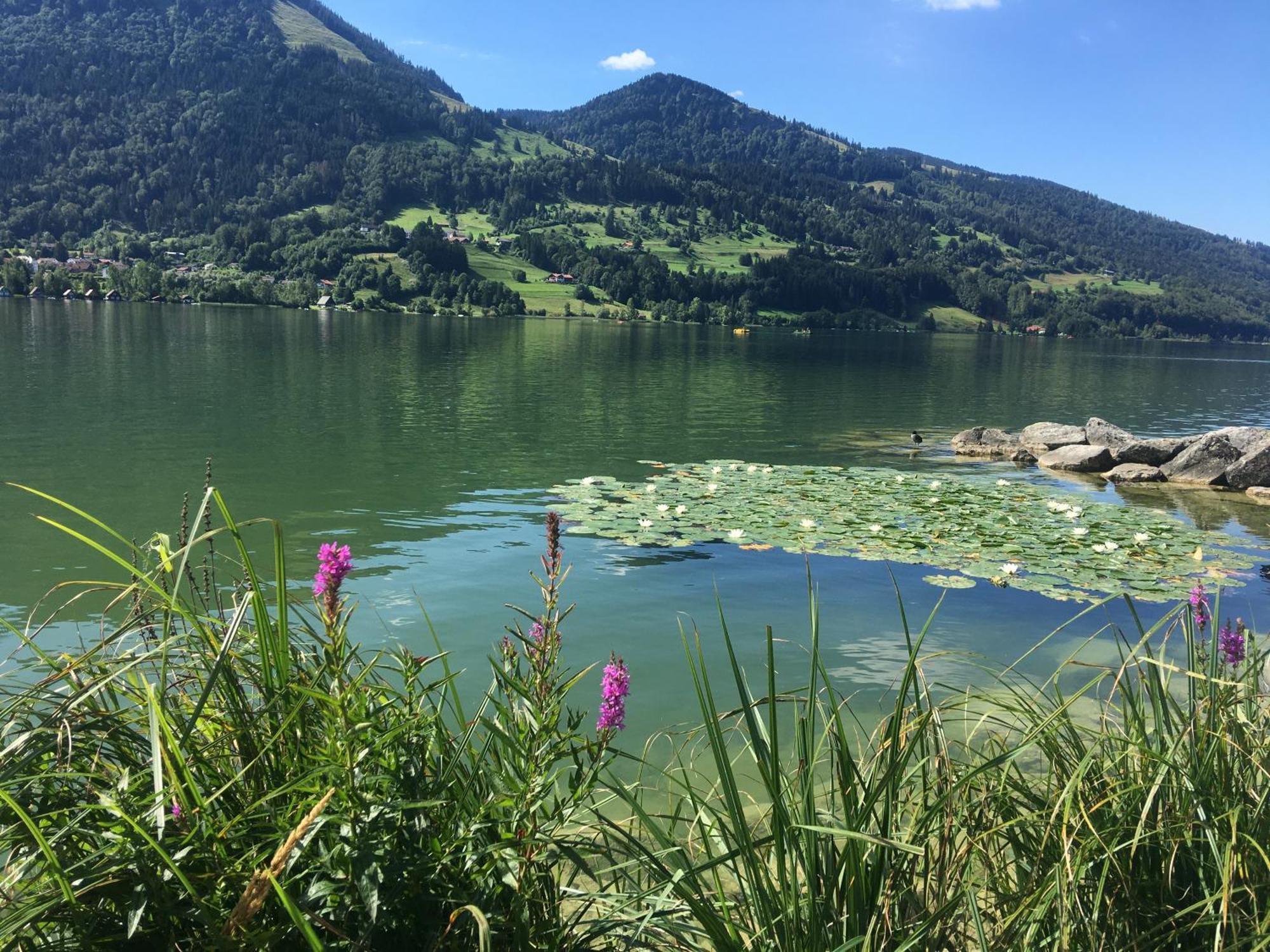 Weitnaustyle - Renoviert, Modern, Allergikerfreundlich Esterno foto