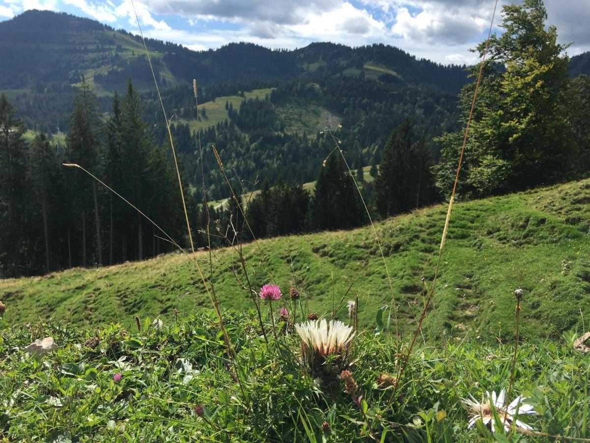 Weitnaustyle - Renoviert, Modern, Allergikerfreundlich Esterno foto