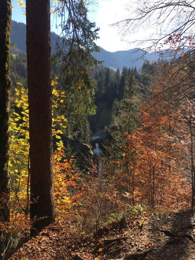 Weitnaustyle - Renoviert, Modern, Allergikerfreundlich Esterno foto