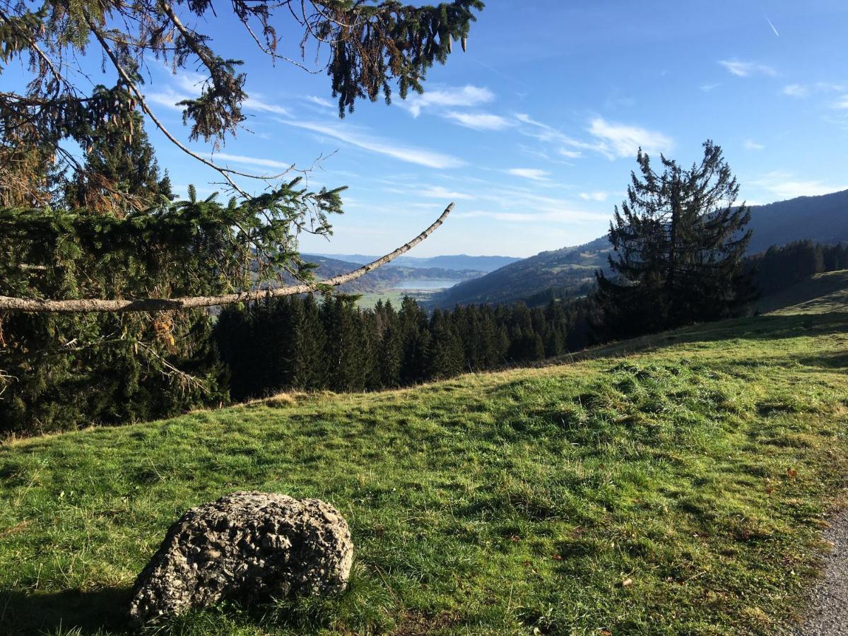 Weitnaustyle - Renoviert, Modern, Allergikerfreundlich Esterno foto