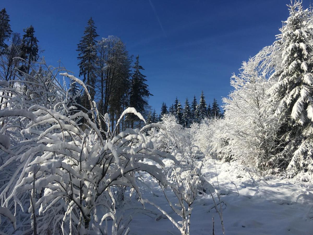 Weitnaustyle - Renoviert, Modern, Allergikerfreundlich Esterno foto
